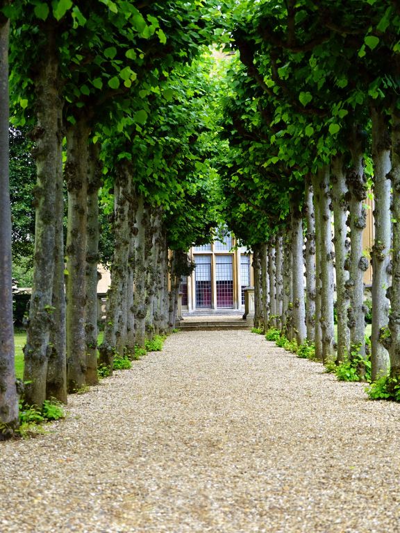 cour et jardin